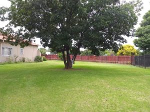 Beautiful garden with colorful flowers and lush greenery