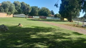 Alika Guest House entrance on 90 Great North Road, Benoni. Look for the flashing yellow robot.